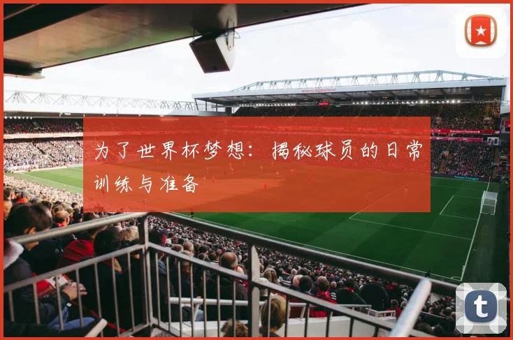 为了世界杯梦想:揭秘球员的日常训练与准备